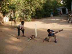 Cricket And Much More!